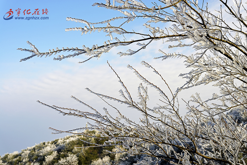 牙梳山金华顶雪景-王振阶/摄